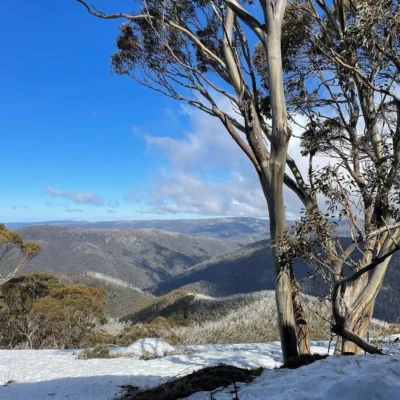 Can You Go to Mt Buller for Free